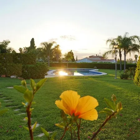 Lovely Apartment:quiet, Sunny And Residential Denia